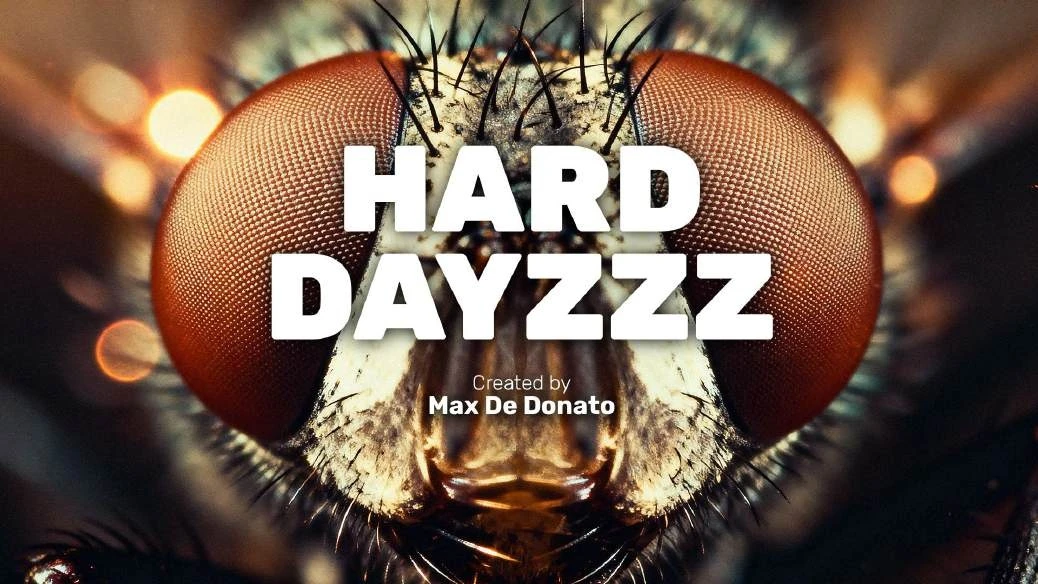 Hard Dayzzz poster