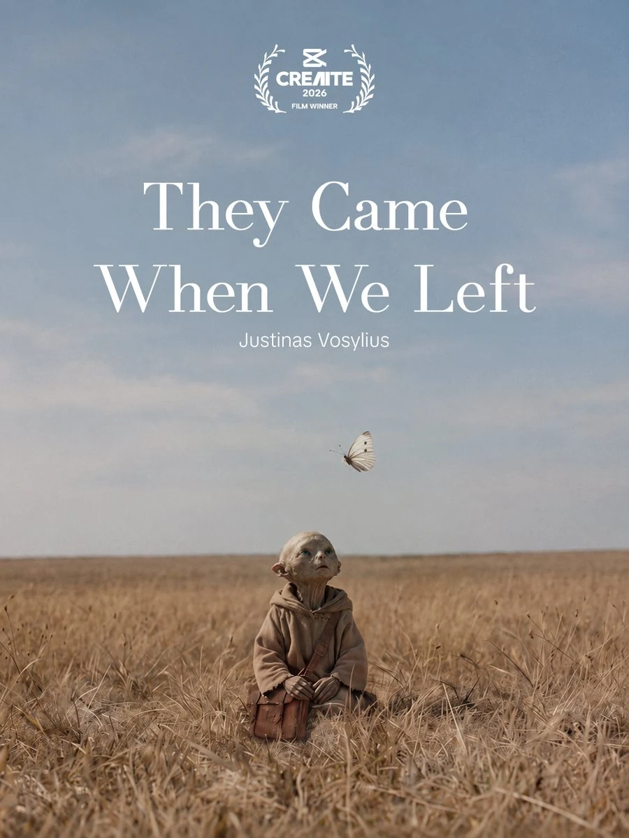 They Came When We Left poster